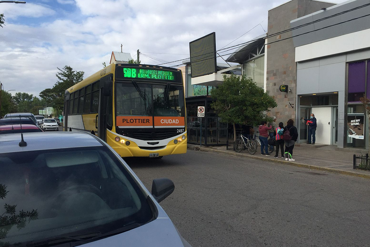 Plottier ya cuenta con una app para consultar en tiempo real el ...